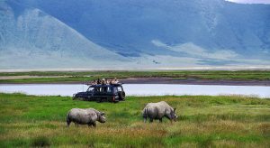 Ngorongoro and Masai Mara
