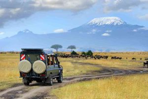 Amboseli National Park to be managed by Maasai Narok County