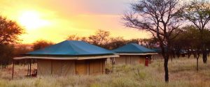 Tukaone Serengeti Camp Central