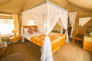 Tukaone Serengeti Double Room